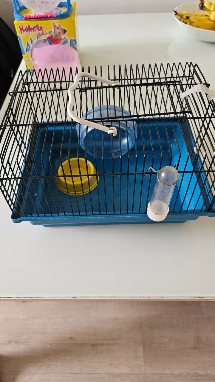 Kit Hamster completo 