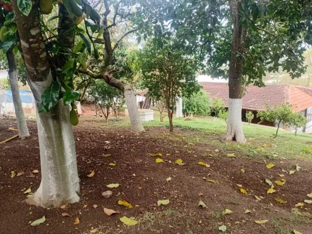 Sítio com piscina e 2 casas com 3.000m2  - Foto 3