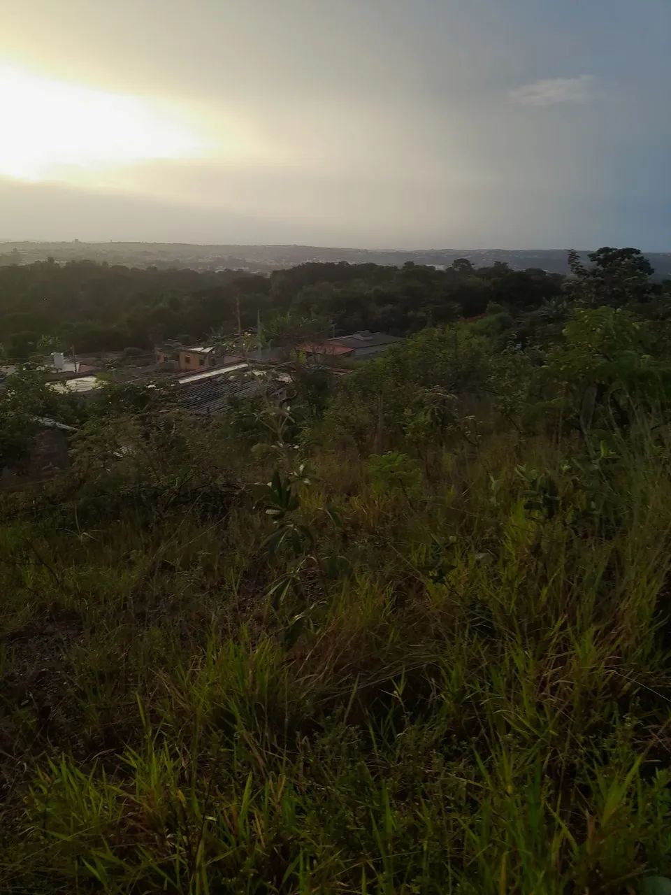Foto - Igarapé - 