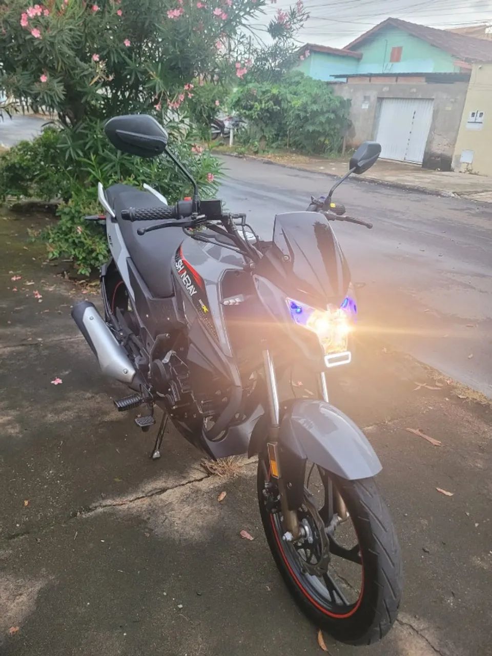 JEF 150s - 2024/25 - Foto 2