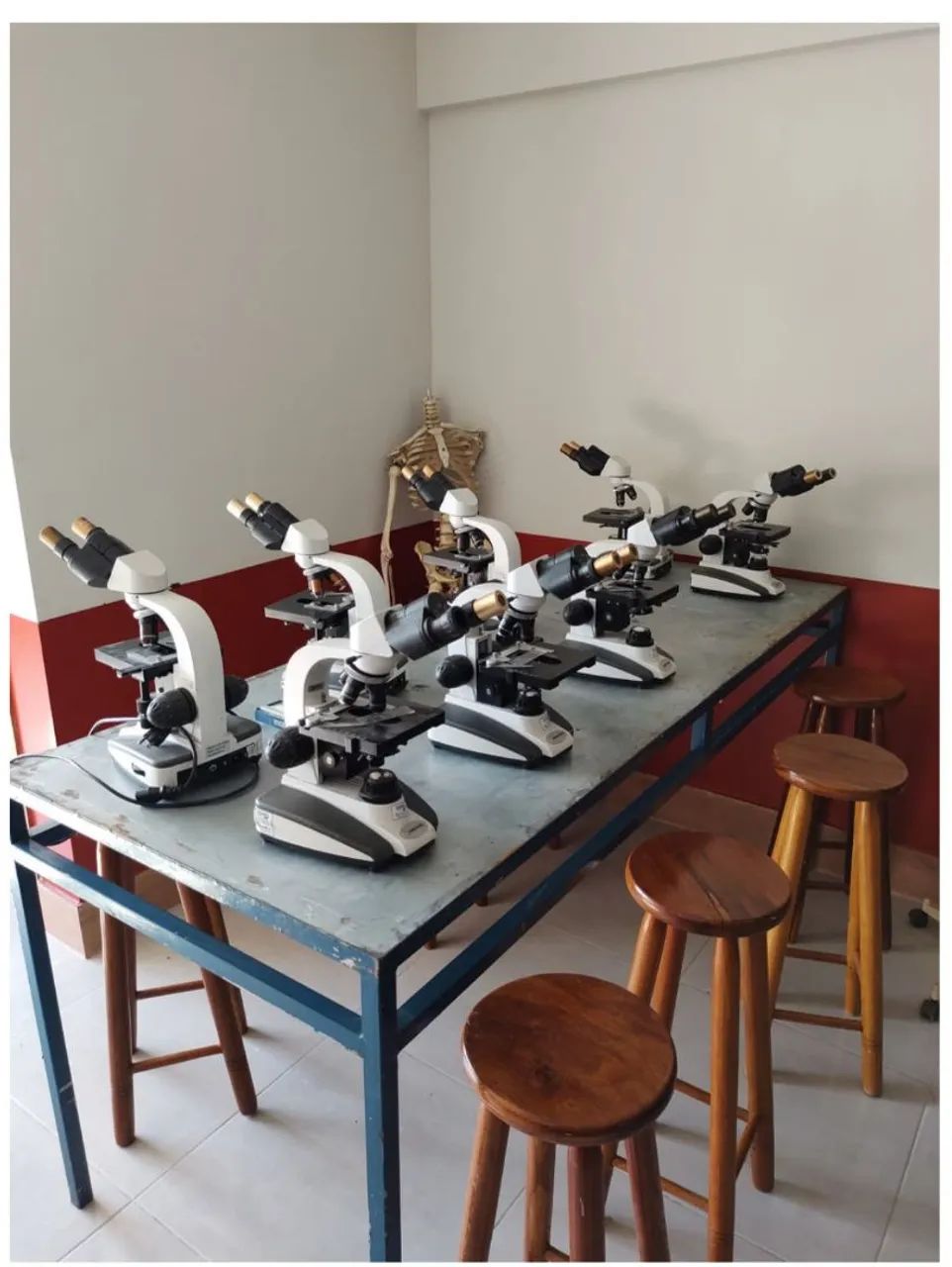Microscópio  - Foto 2
