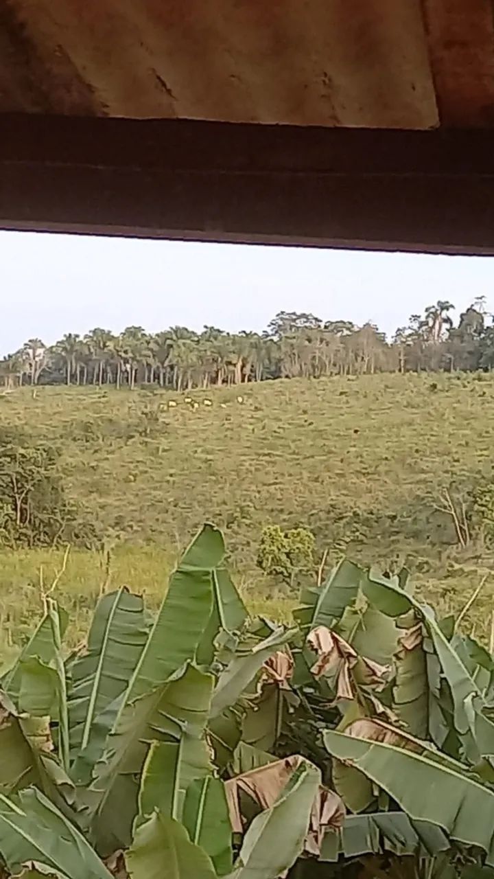 Sítio Jacupiranga/ Eldorado