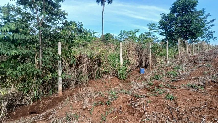 Chacara 1000mts² - Foto 3