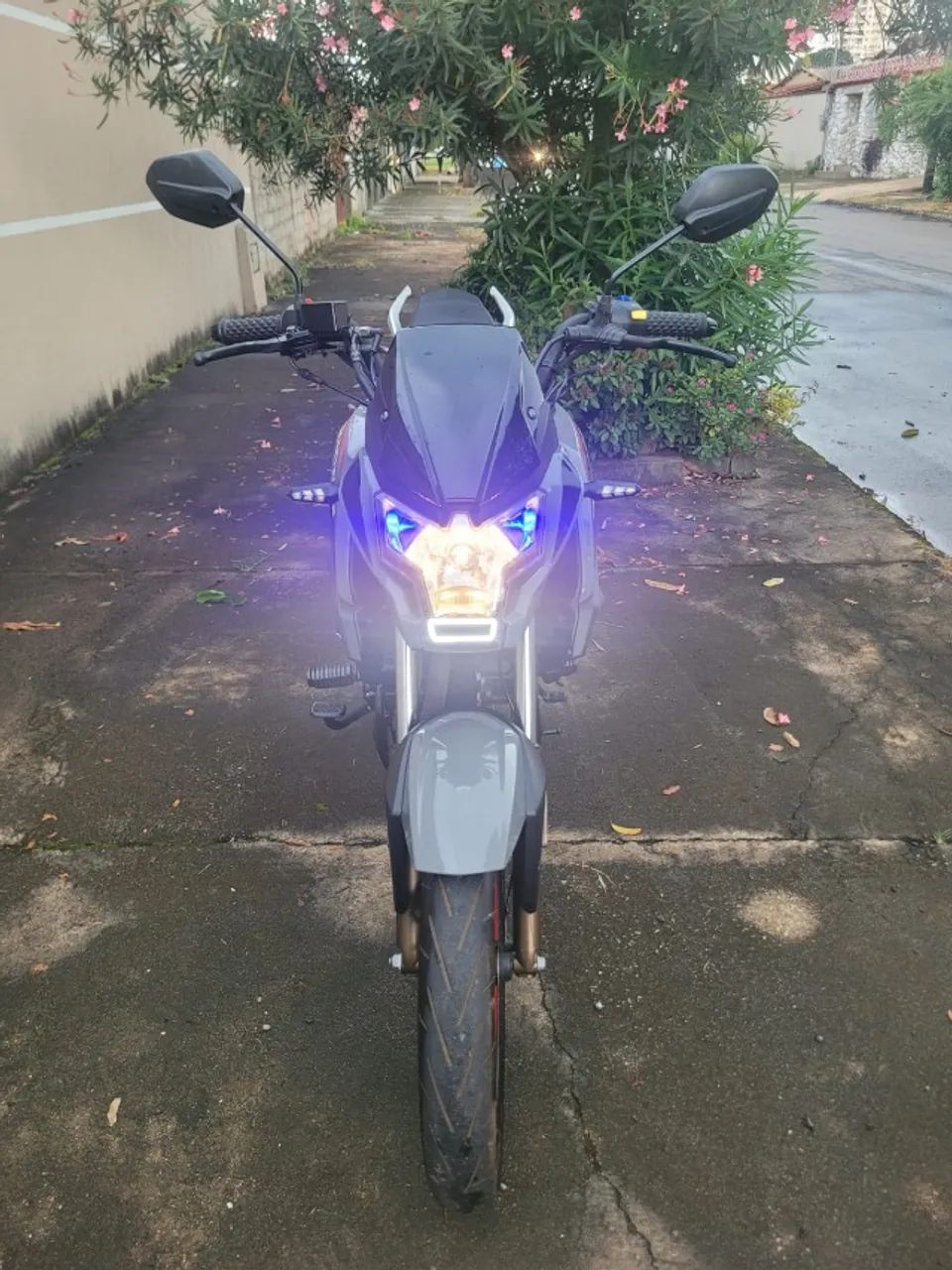 JEF 150s - 2024/25 - Foto 4