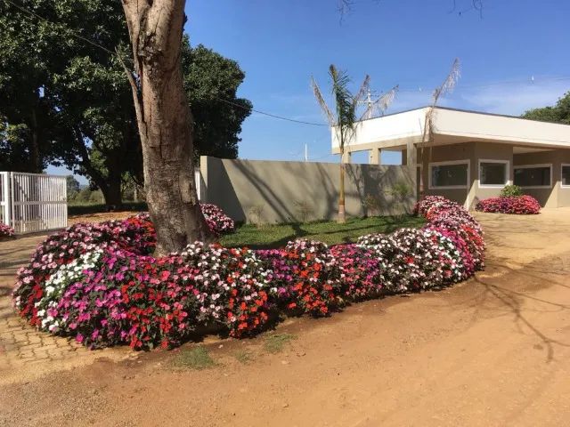 Lotes, Casas e Glebas em Joanópolis e Região | A partir de R$ 120 mil - Foto 3