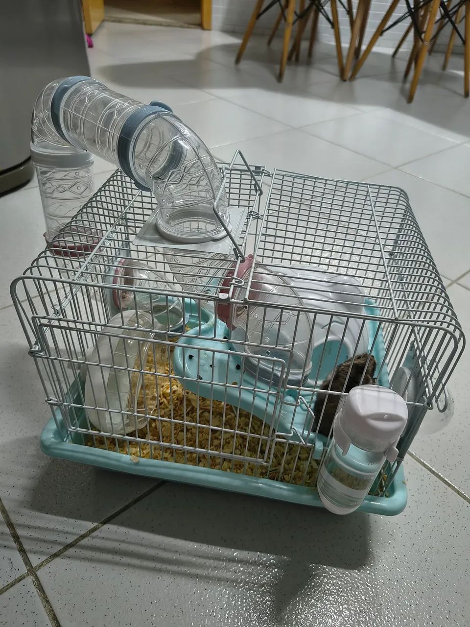 Gaiola com Hamster - Foto 3