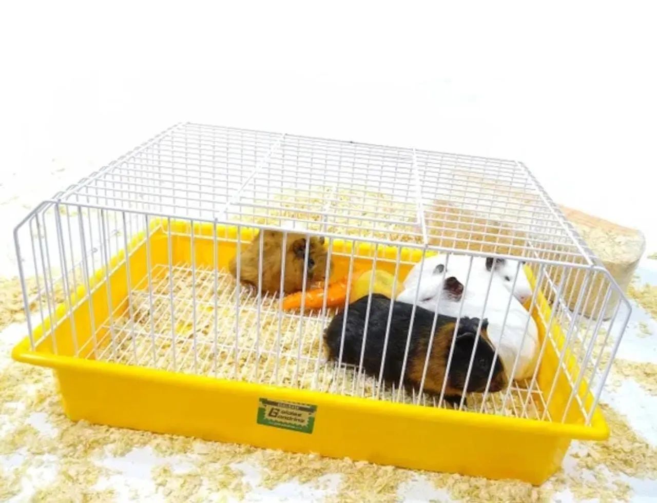 Gaiola de porquinho/coelho