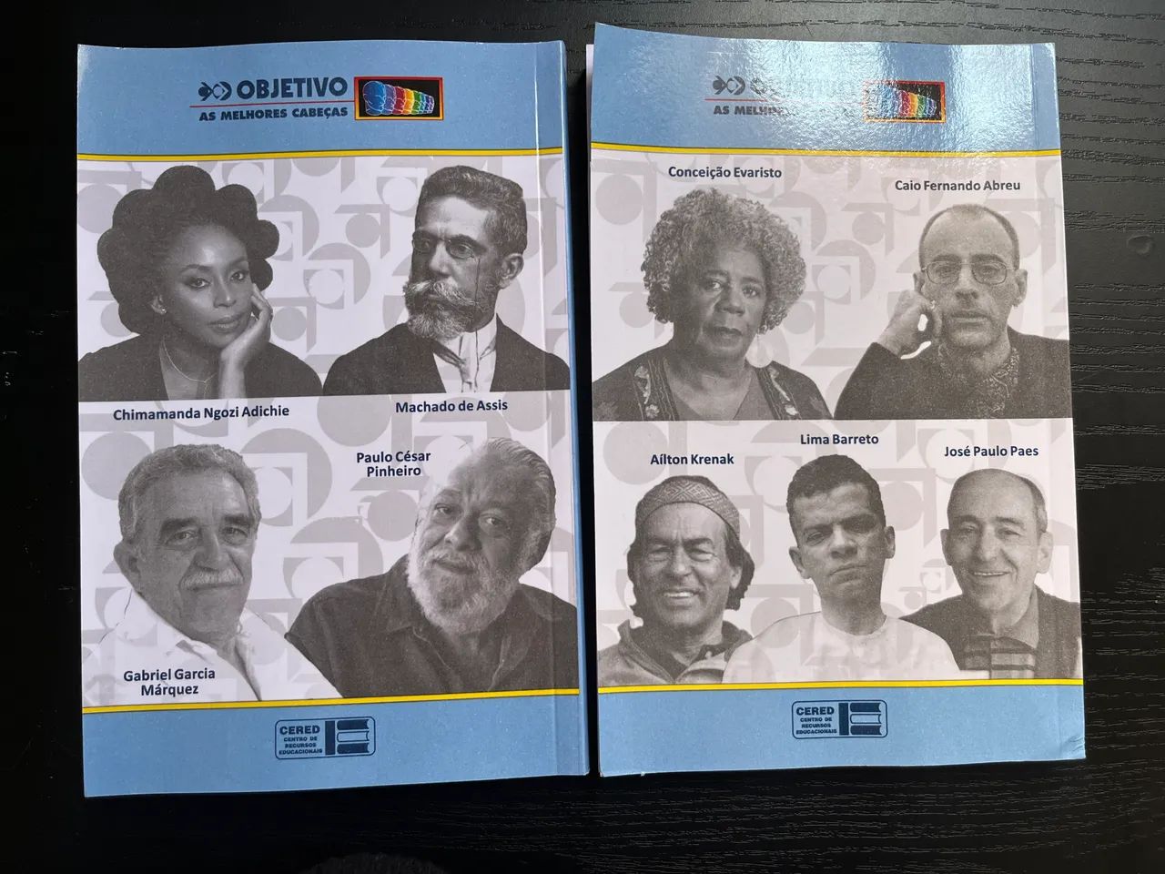 Resumo Livros da Unicamp - Foto 4