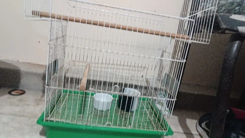 Gaiola em bom estado