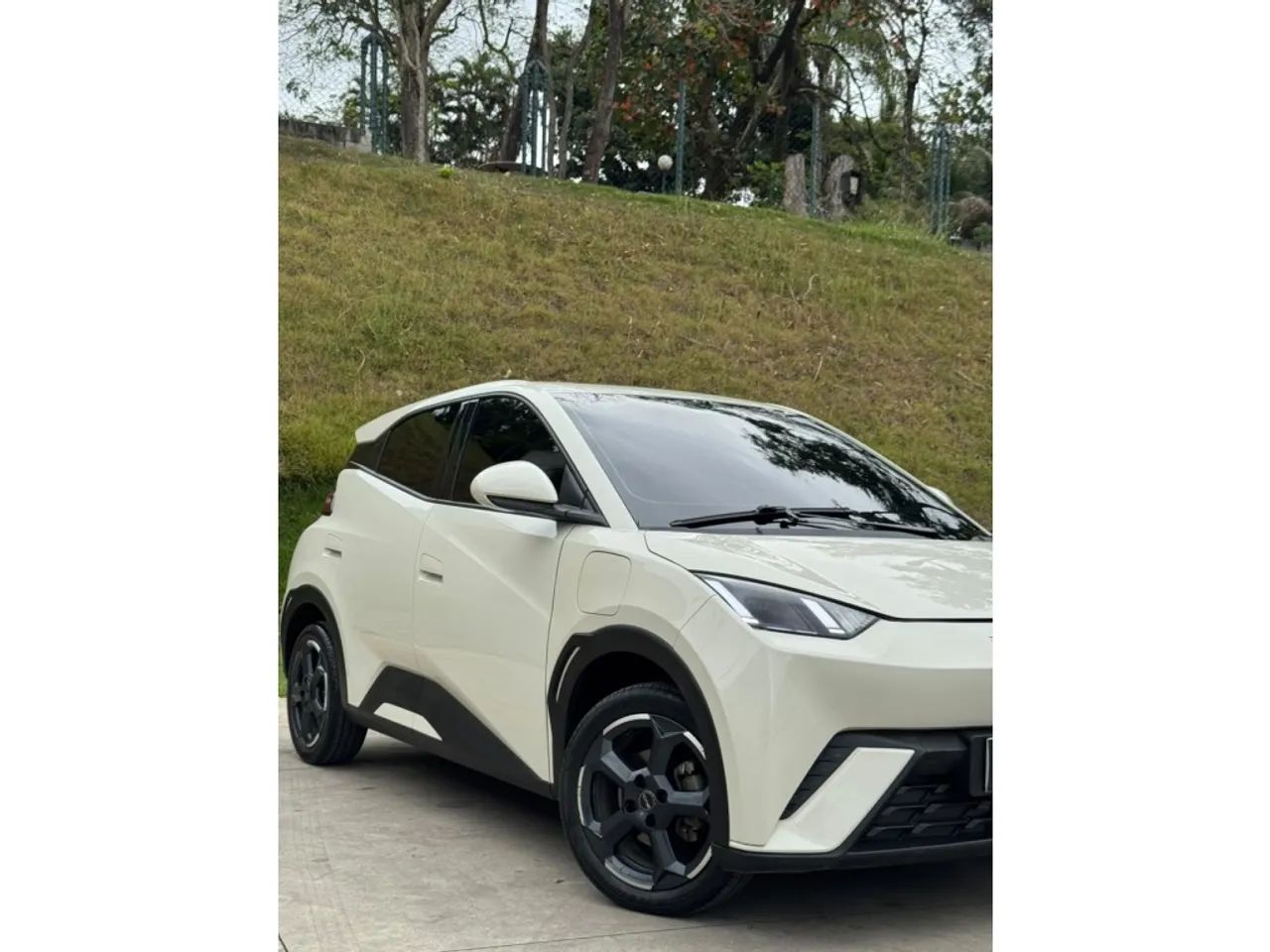 BYD Dolphin EV (Elétrico) 2024 - Foto 3