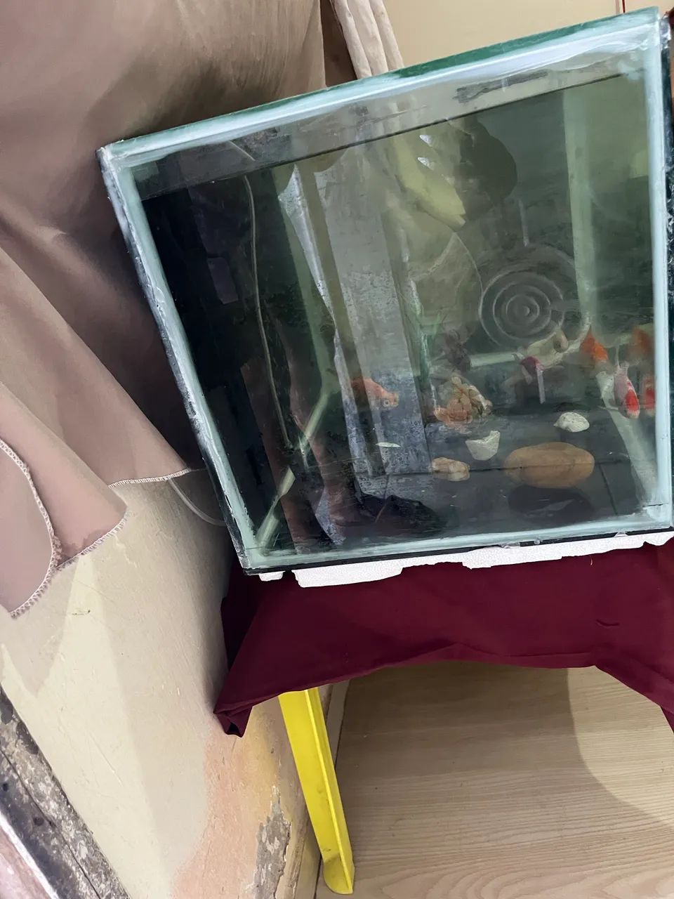 Aquário  - Foto 2