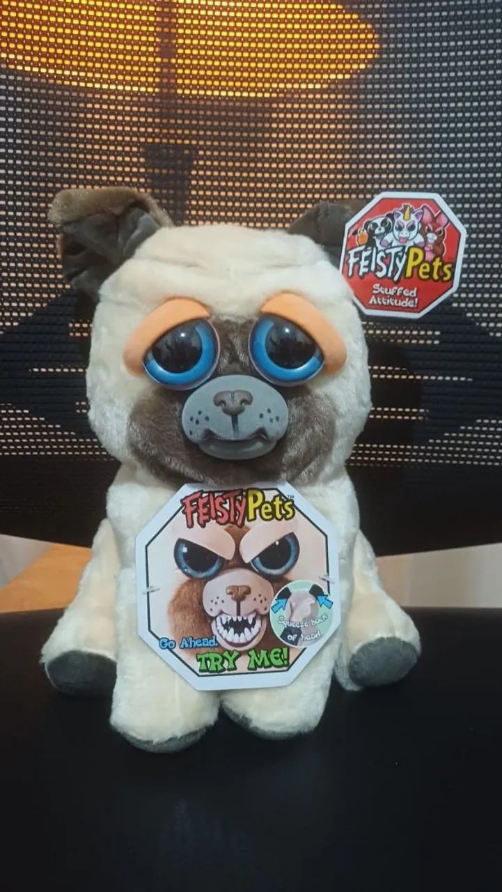 Pug Feisty pets