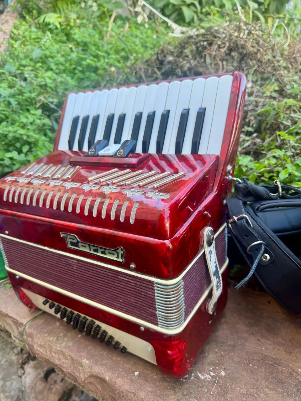Acordeon Parrot 48 baixos  - Foto 3
