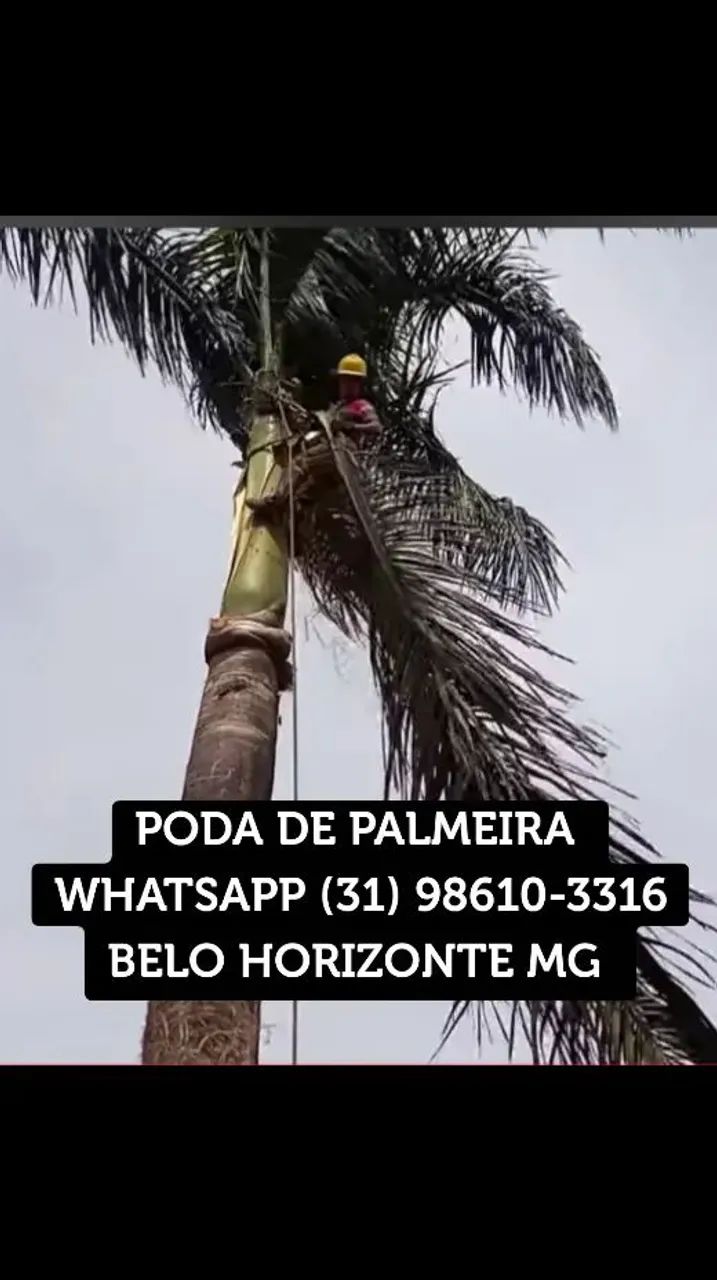 Serviço de jardinagem 