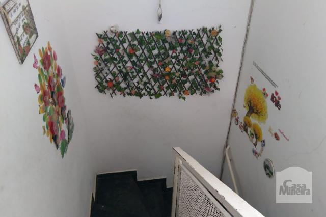 Casa à venda com 2 dormitórios em Alto caiçaras, Belo horizonte cod:245529 - Foto 10