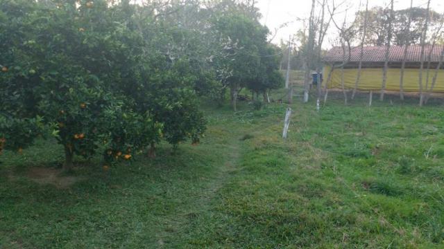 Sítio rural à venda, zona rural, quitandinha. - Foto 18