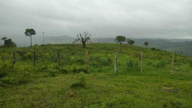 Fazenda à venda, 2541000 m² por r$ 3.675.000 - fazenda velha - nova laranjeiras/pr - Foto 4