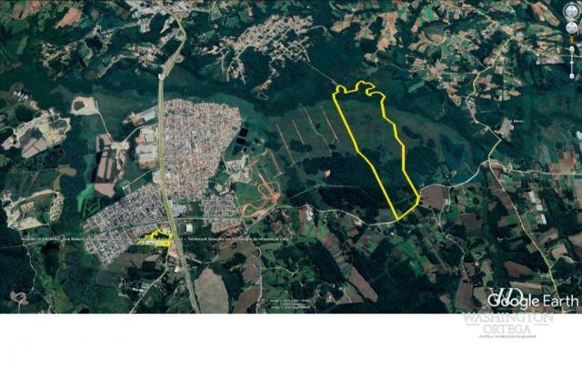 Área à venda, 715259 m² por r$ 5.500.000,00 - são marcos - são josé dos pinhais/pr