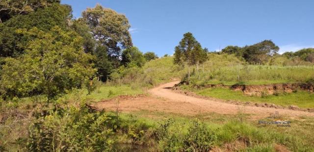 Fazenda à venda, 968000 m² por r$ 2.000.000,00 - fazenda velha - nova laranjeiras/pr - Foto 11
