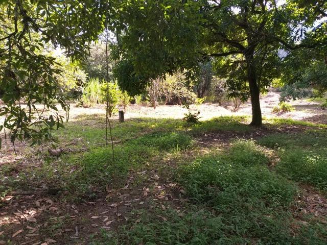 Área comercial e residencial - Foto 2