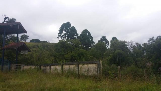 Área à venda, 103000 m² por r$ 700.000,00 - borda do campo - são josé dos pinhais/pr - Foto 16