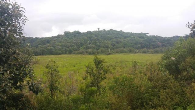 Área à venda, 103000 m² por r$ 700.000,00 - borda do campo - são josé dos pinhais/pr - Foto 7