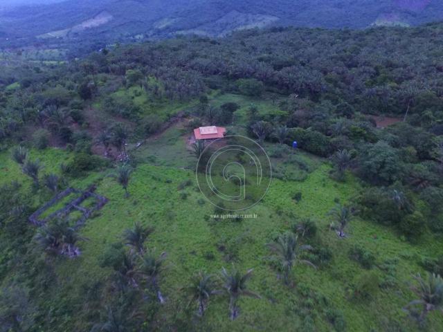 Sítio 80 ha santo antonio do leverger - Foto 14