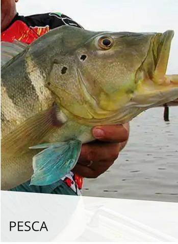 Vendo Chácara Lago Corumbá 3 - Foto 3