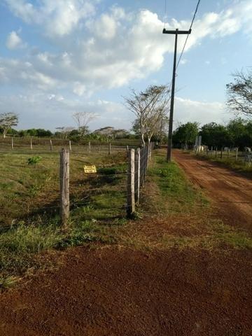 Sítio com 4,5 hectares, situado na cidade de Arari-MA - Foto 3