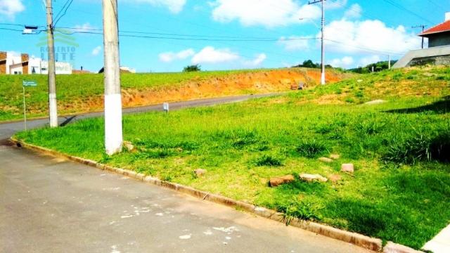 Terreno, Protásio Alves, Porto Alegre-RS - Foto 5