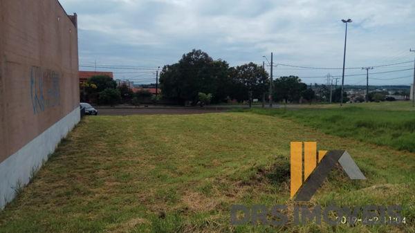Terreno em rua - Bairro Conjunto Habitacional Alexandre Urbanas em Londrina - Foto 12