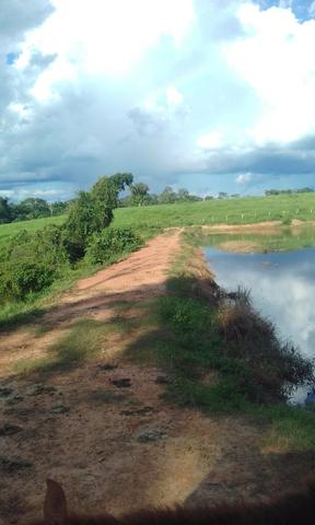 Área de Terra com 75 hectares - Foto 4