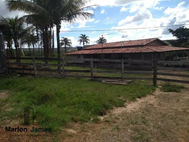 Fazenda em Vianópolis-Go - Foto 6