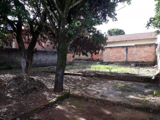 Lote para alugar, 296 m² por R$ 700/mês - Residencial Celina Park - Goiânia/GO - Foto 2