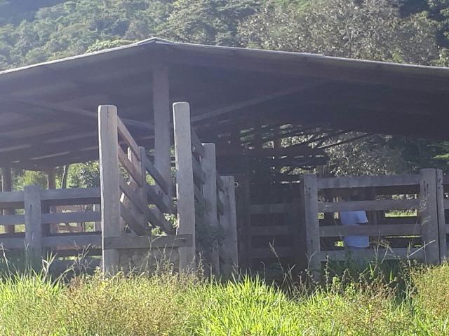 Sítio Palmas - Foto 5