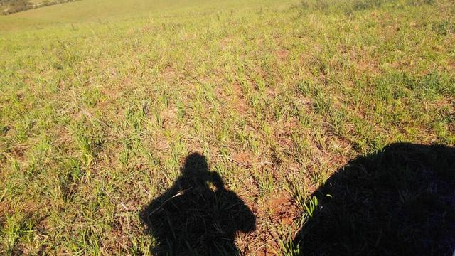 Boa para plantio - Foto 3