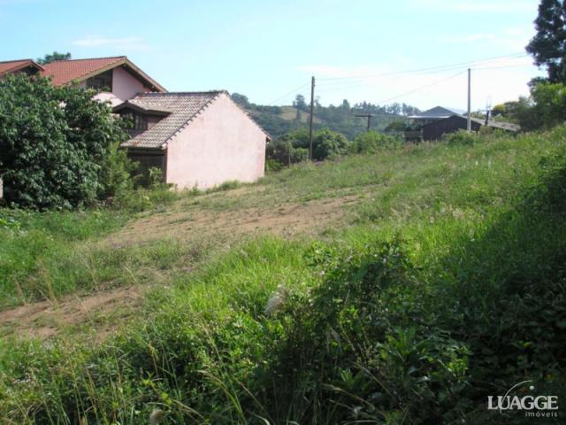 Terreno à venda em Vila nova, Porto alegre cod:LU23216 - Foto 3