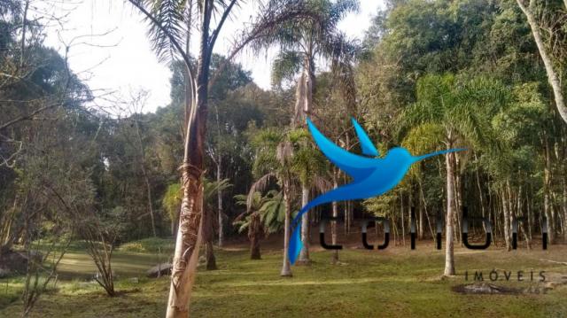 Linda Chácara pronta para morar ou lazer em Agudos do Sul - Foto 14