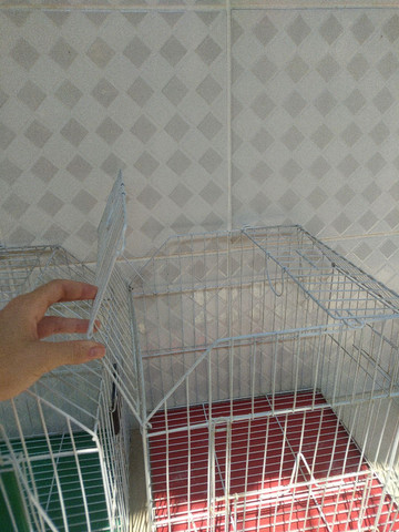 Gaiola pra passarinho - Foto 2