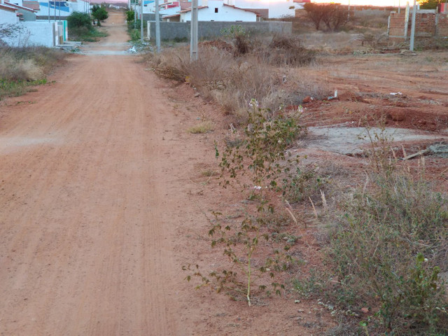 Terreno no alto da serra Monteiro - Foto 4