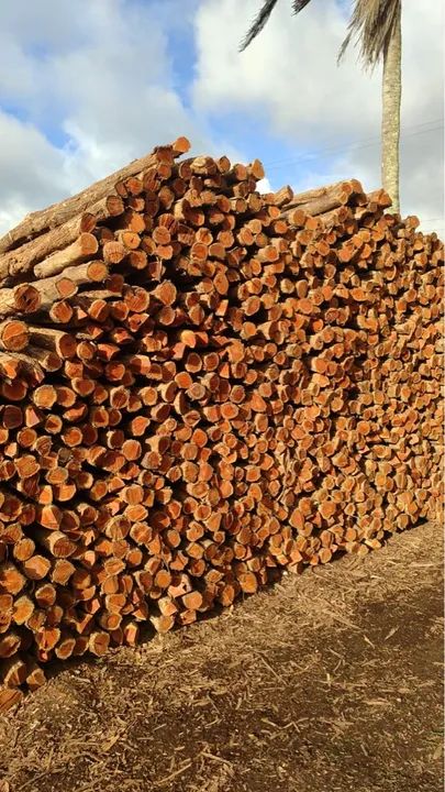 Madeira para construção de cercas - Foto 3