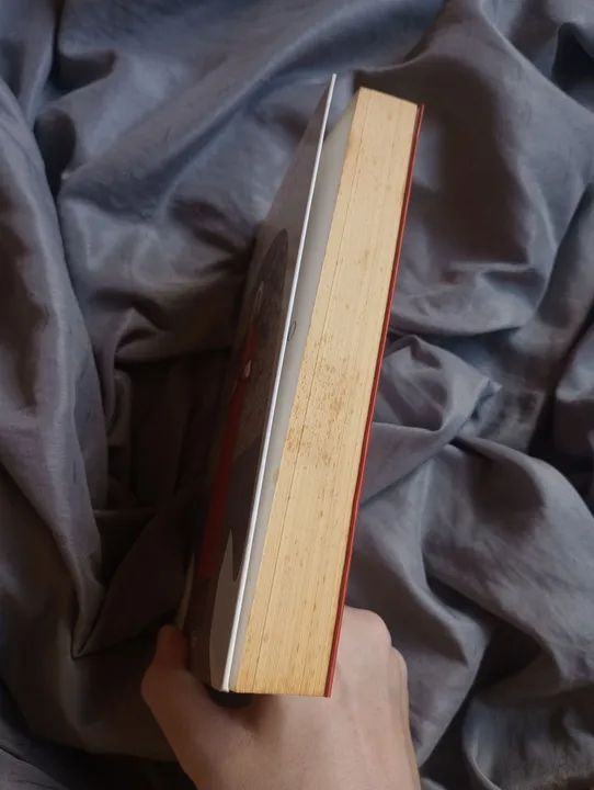 Livros O conto da Aia + Os testamentos 