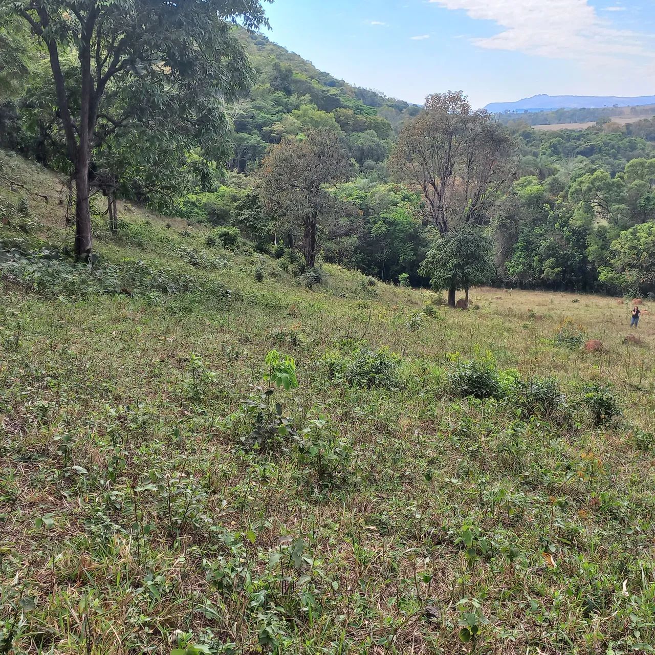 Sitio com 4 alqueires com lindo riacho no meio da mata - Foto 2