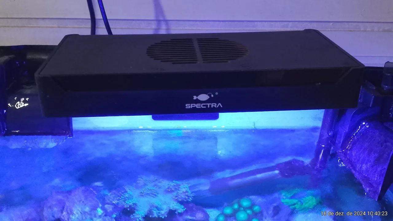 Kit de produtos para aquário de água doce