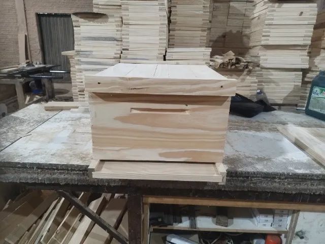 Caixa de abelha  - Foto 4