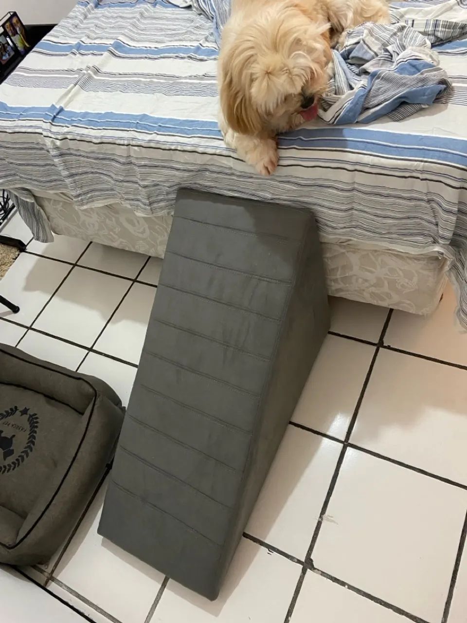 Rampa para Cães - Auxilia o acesso ao sofá ou cama