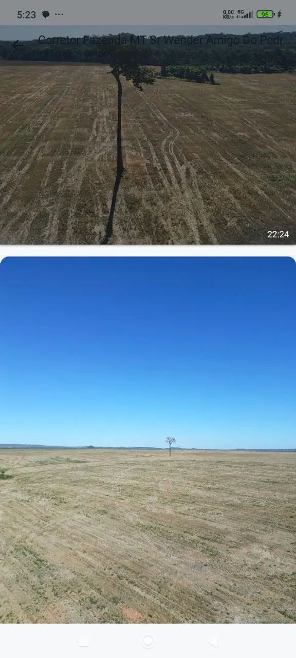 Fazenda de arrendamento  - Foto 5