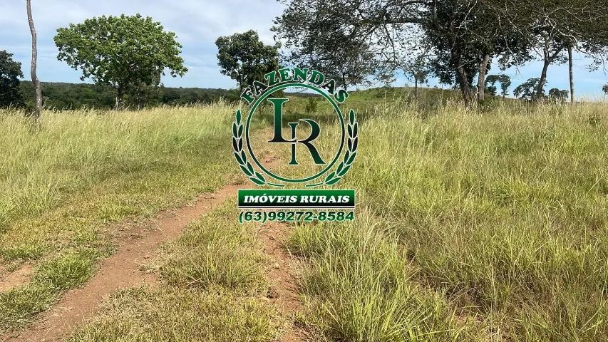 Fazenda de 40 Alqueires próximo a Palmas TO - Foto 5