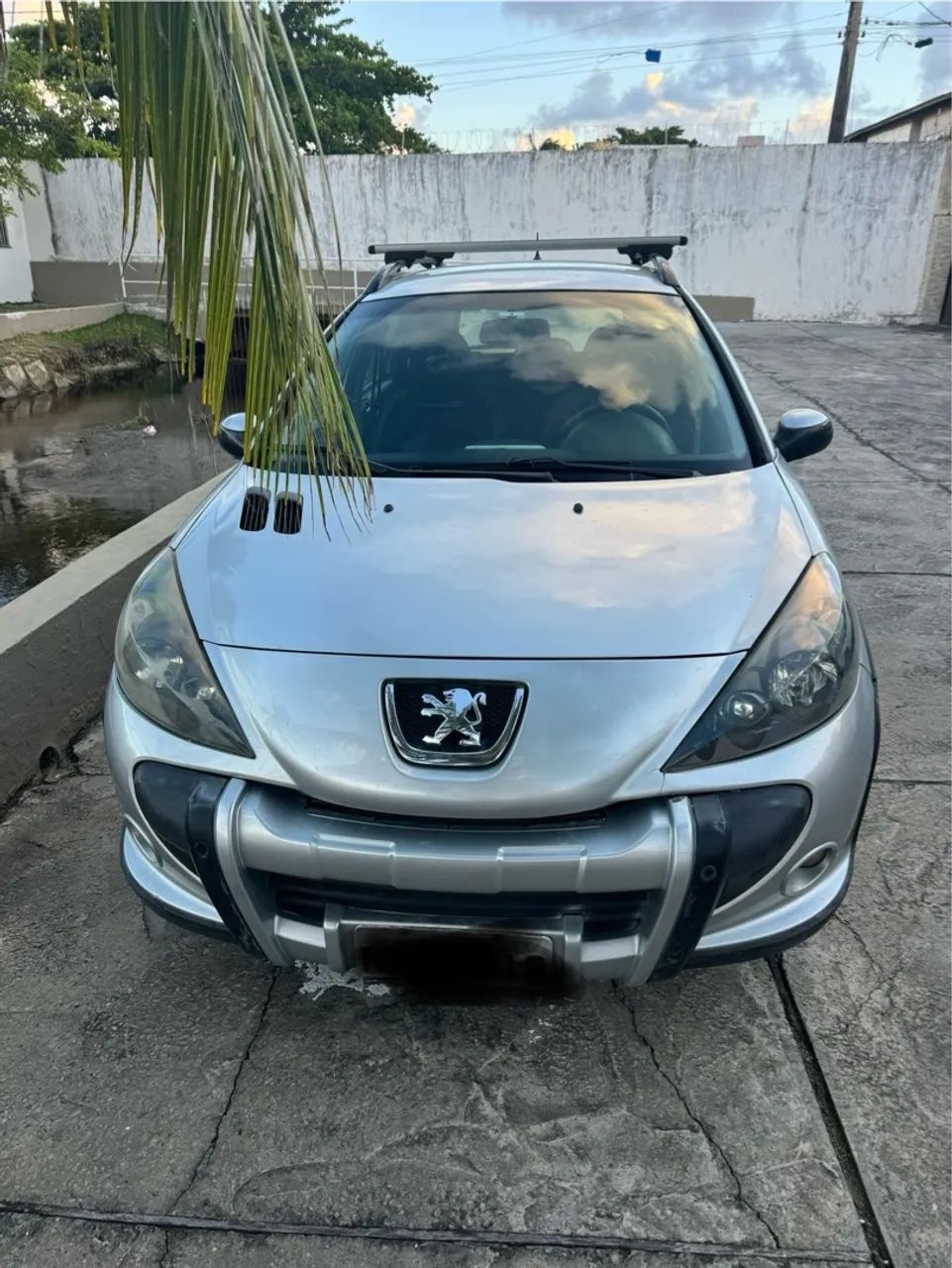 Peugeot 207 completo 2011