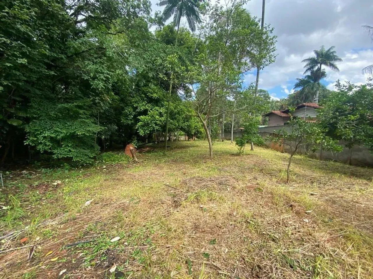 Lote em Avenida Otacílio Negrão de Lima - Garças - Belo Horizonte/MG
